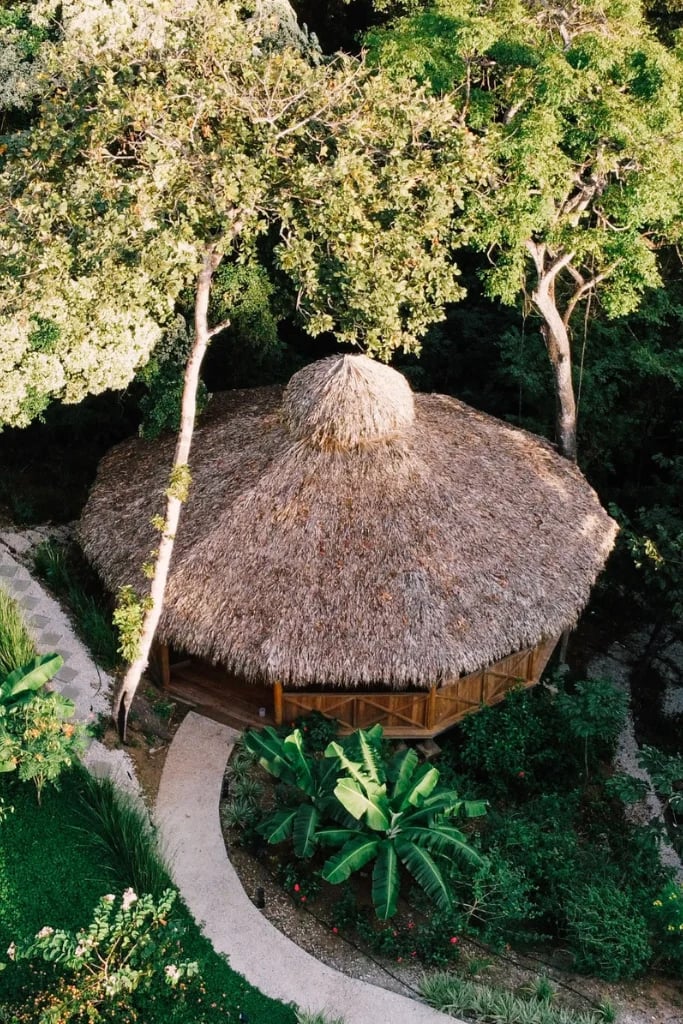 Huachuma (San Pedro) fordybelsesforløb