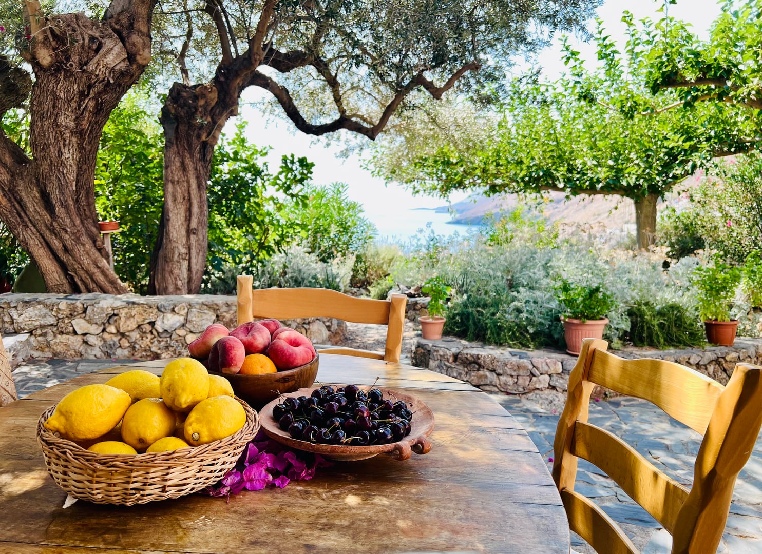 Iyengar-yogaferie på Kreta, Grækenland, med Victoria Bridges