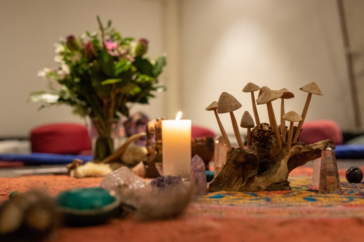 Inwardbound 5-dages gruppe-psilocybin-retreat i Nederlandene