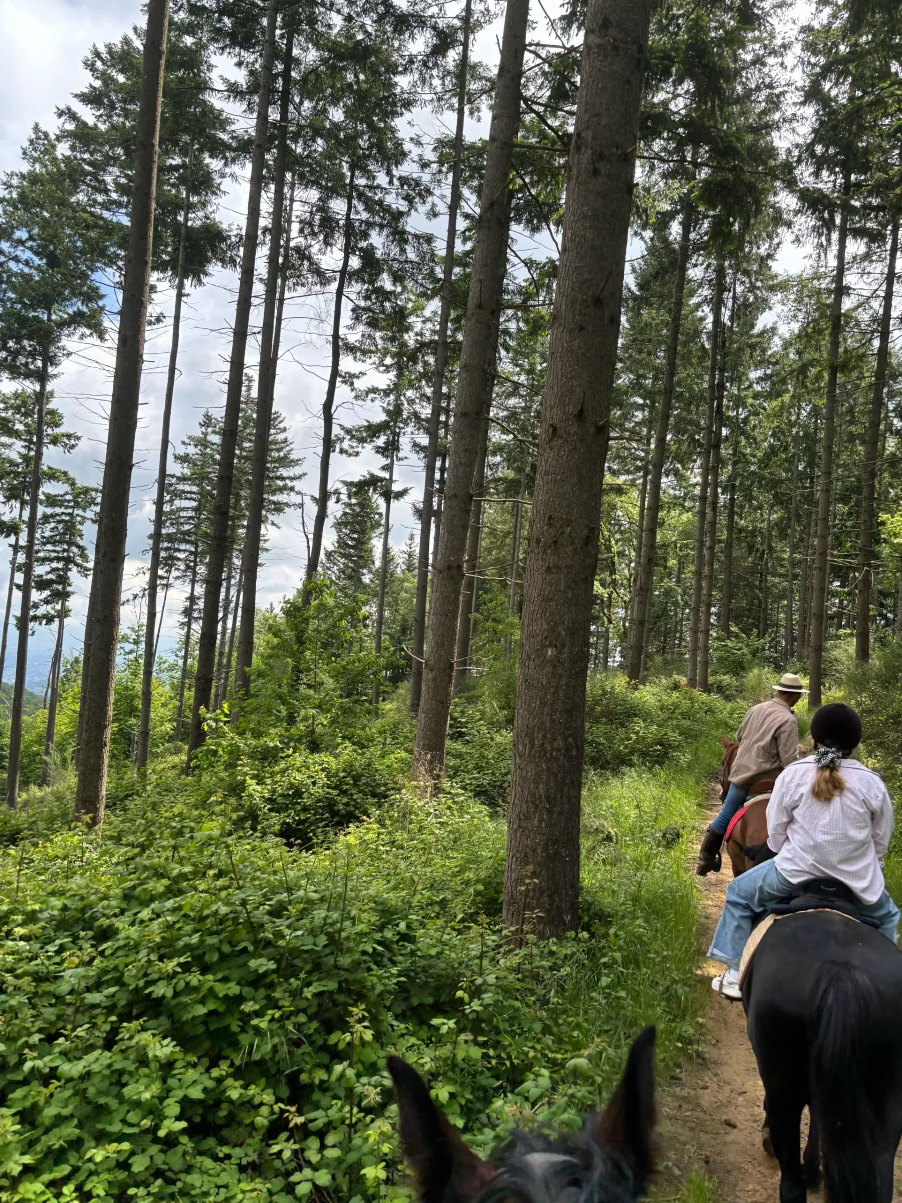 Nytårsfornyelse og nulstillet retreat