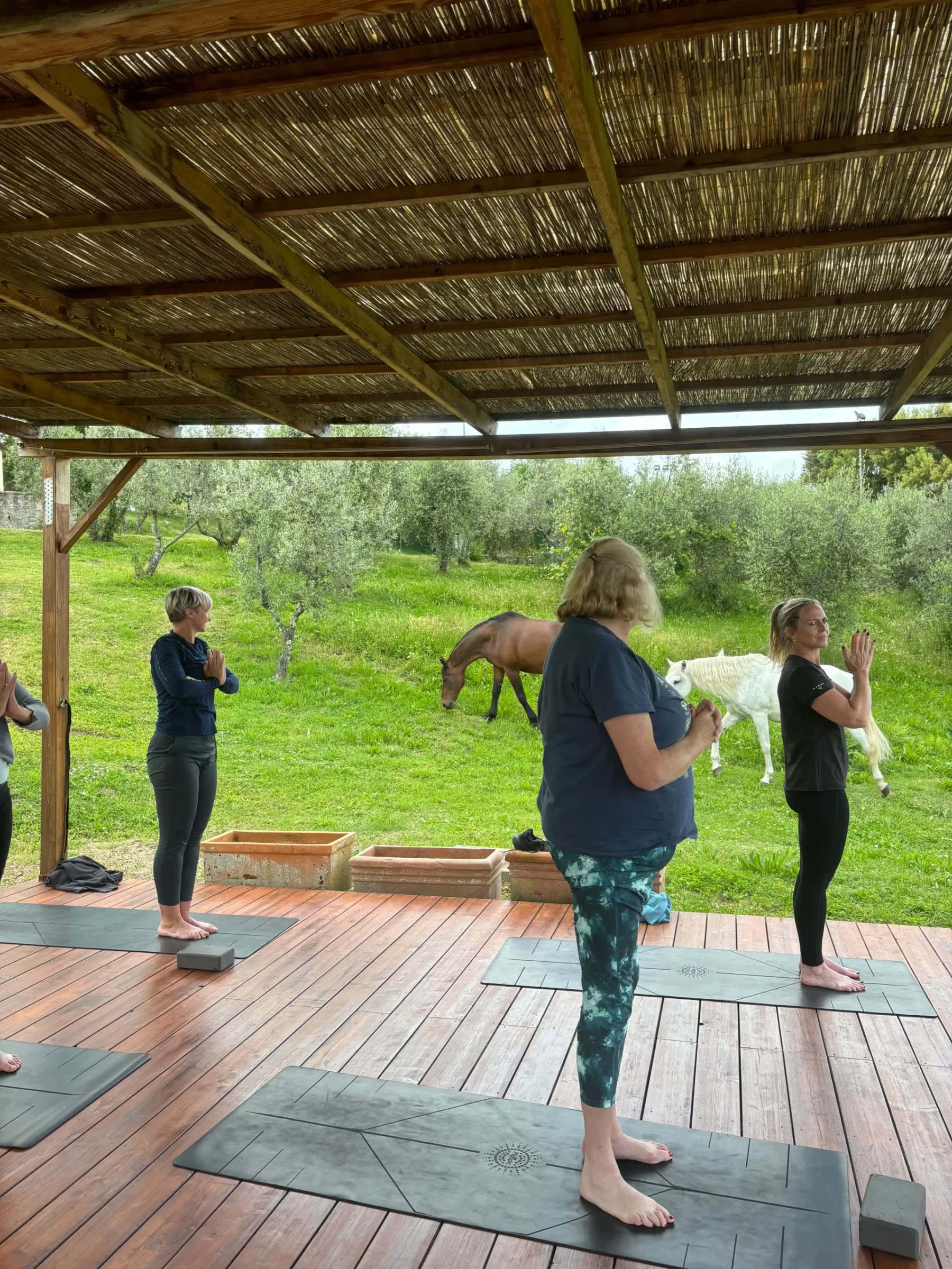 Yoga og fitness – (4 dage/3 nætter)