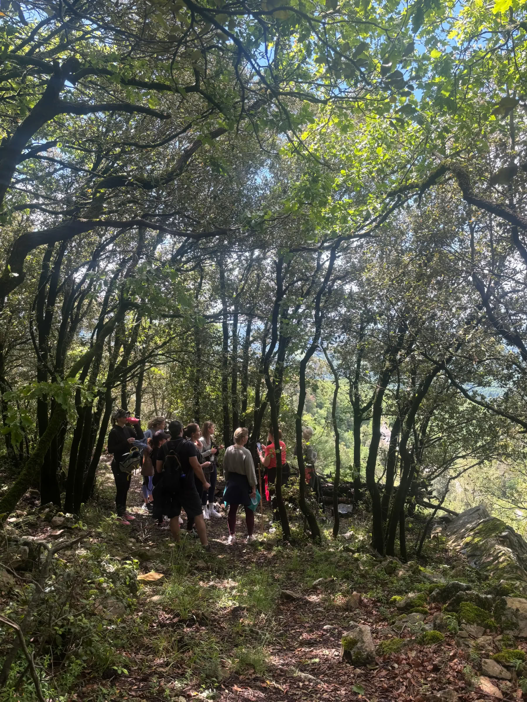 Yoga- og fitnessretreat i Toscana