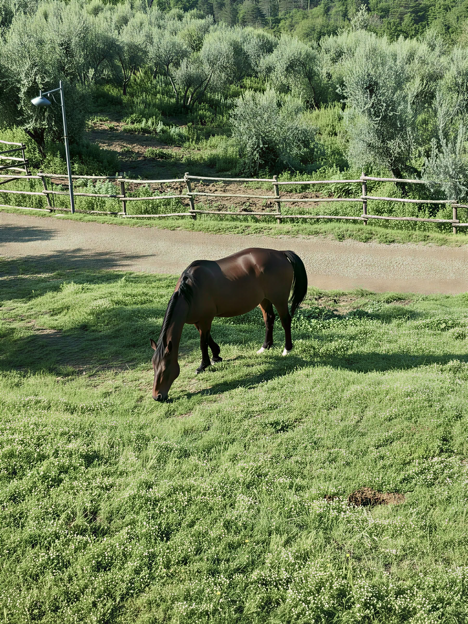 Yoga, vandring og ridning
