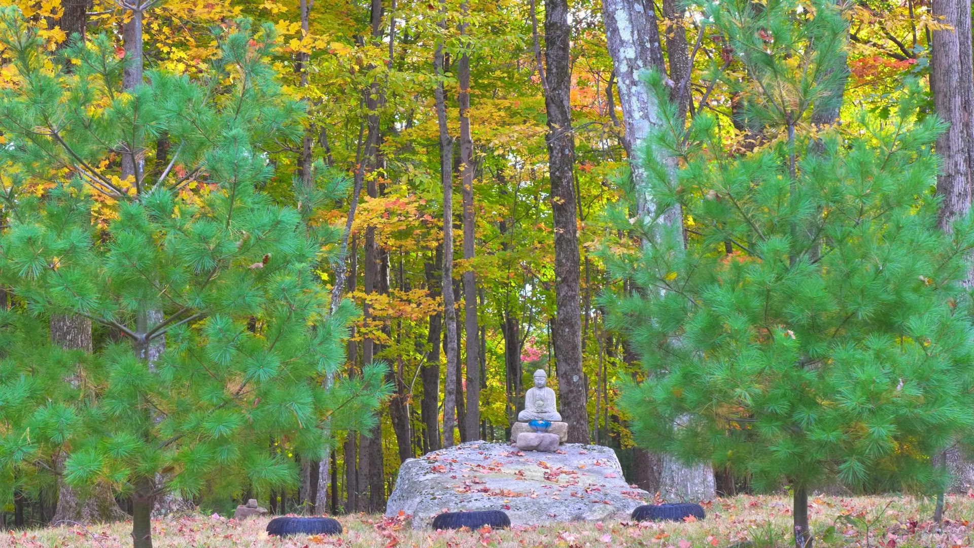 Triratna NY-NJ Sangha-retreat