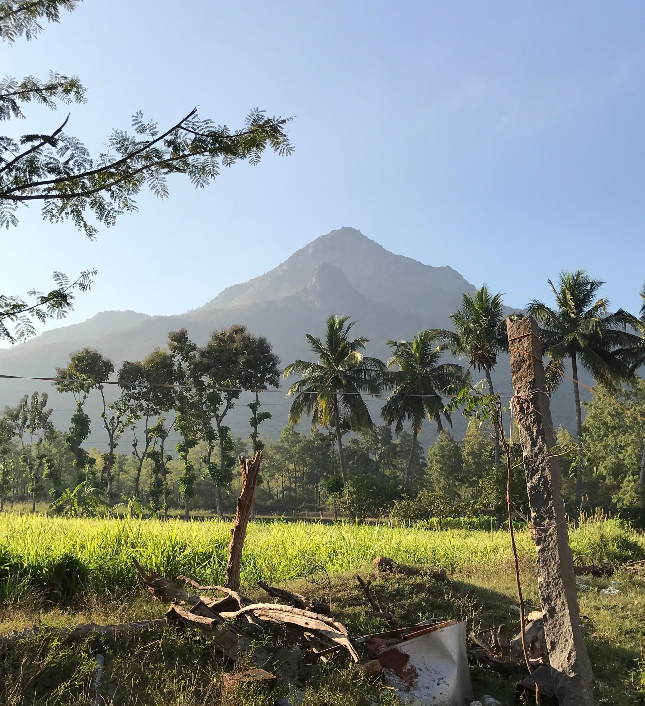 21-dages stille meditationsdetox ashram-retreat i Indien