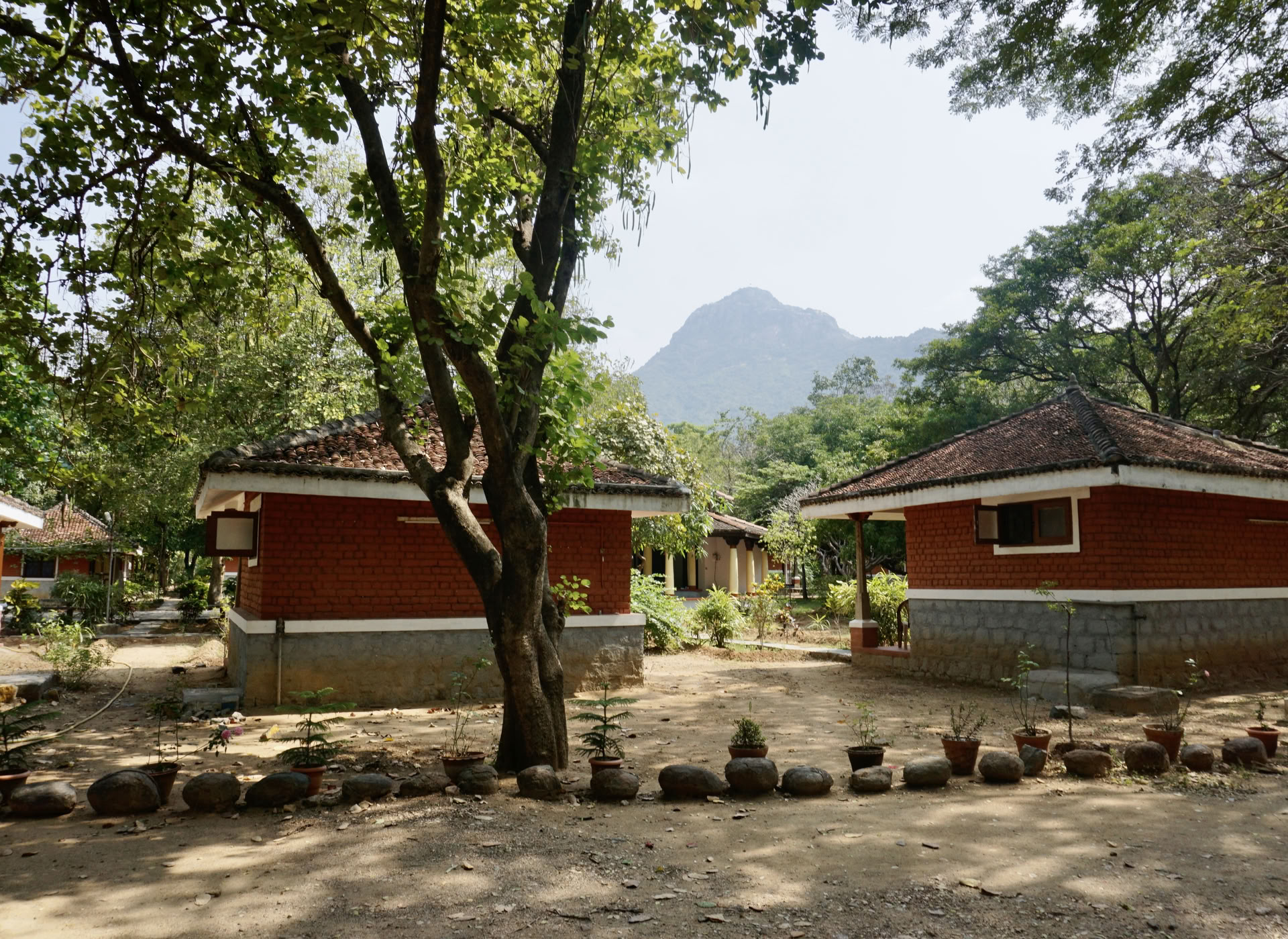 21-dages stille meditationsdetox ashram-retreat i Indien