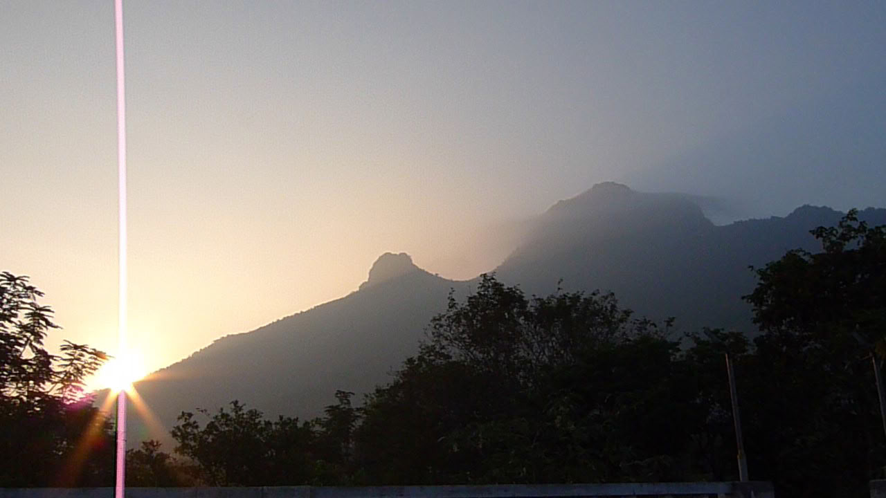 21-dages stille meditationsdetox ashram-retreat i Indien