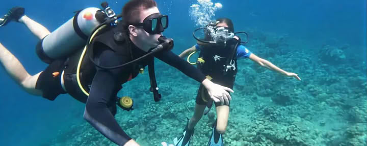 Dykning ved Menjangan Island