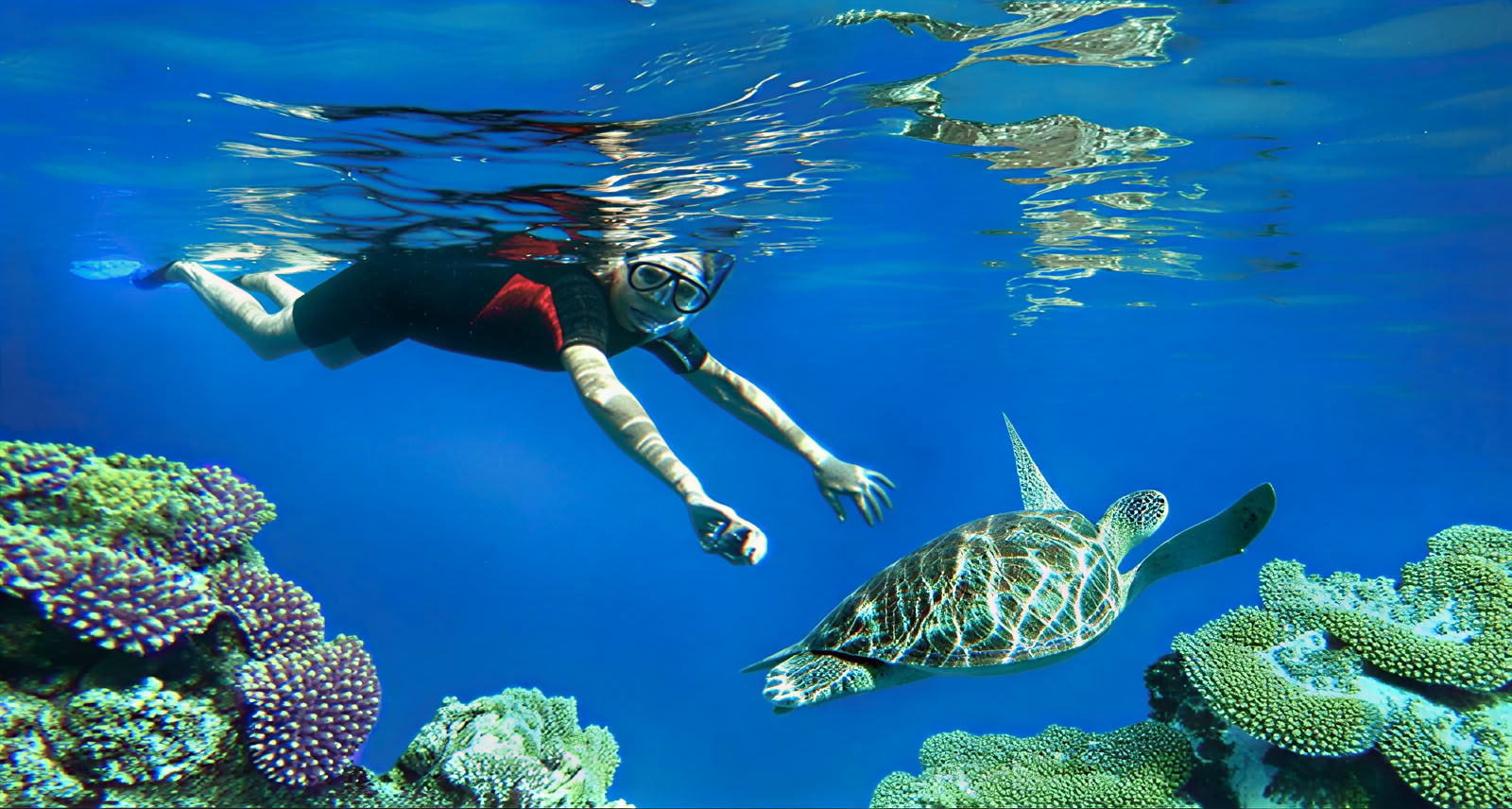 Reef Adventures: Lovina Snorkling