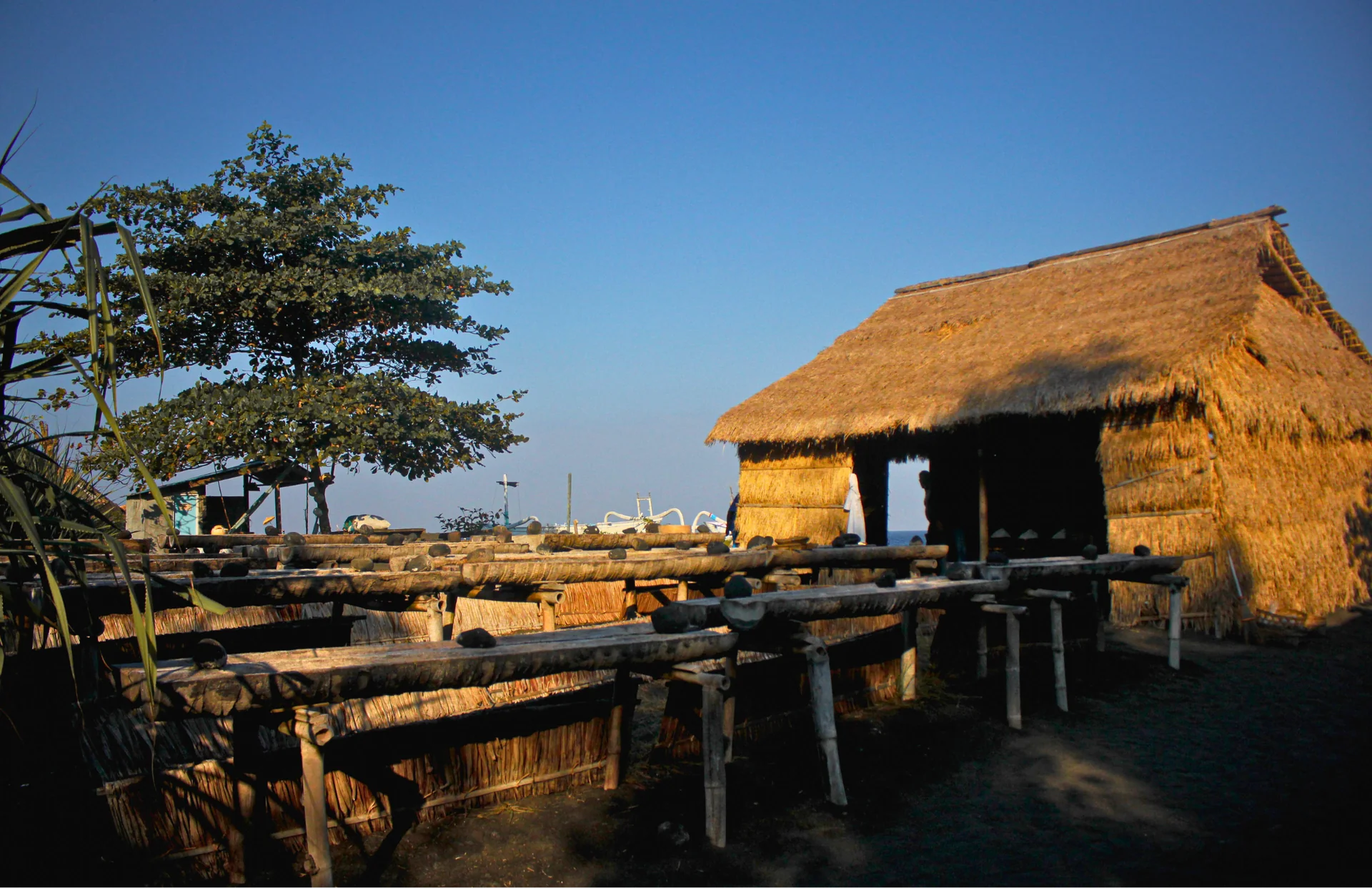 Baliansk saltarv
