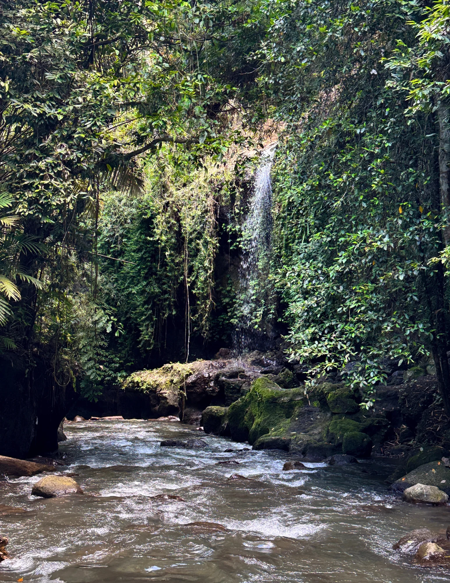 Fra junglestier til indre ro