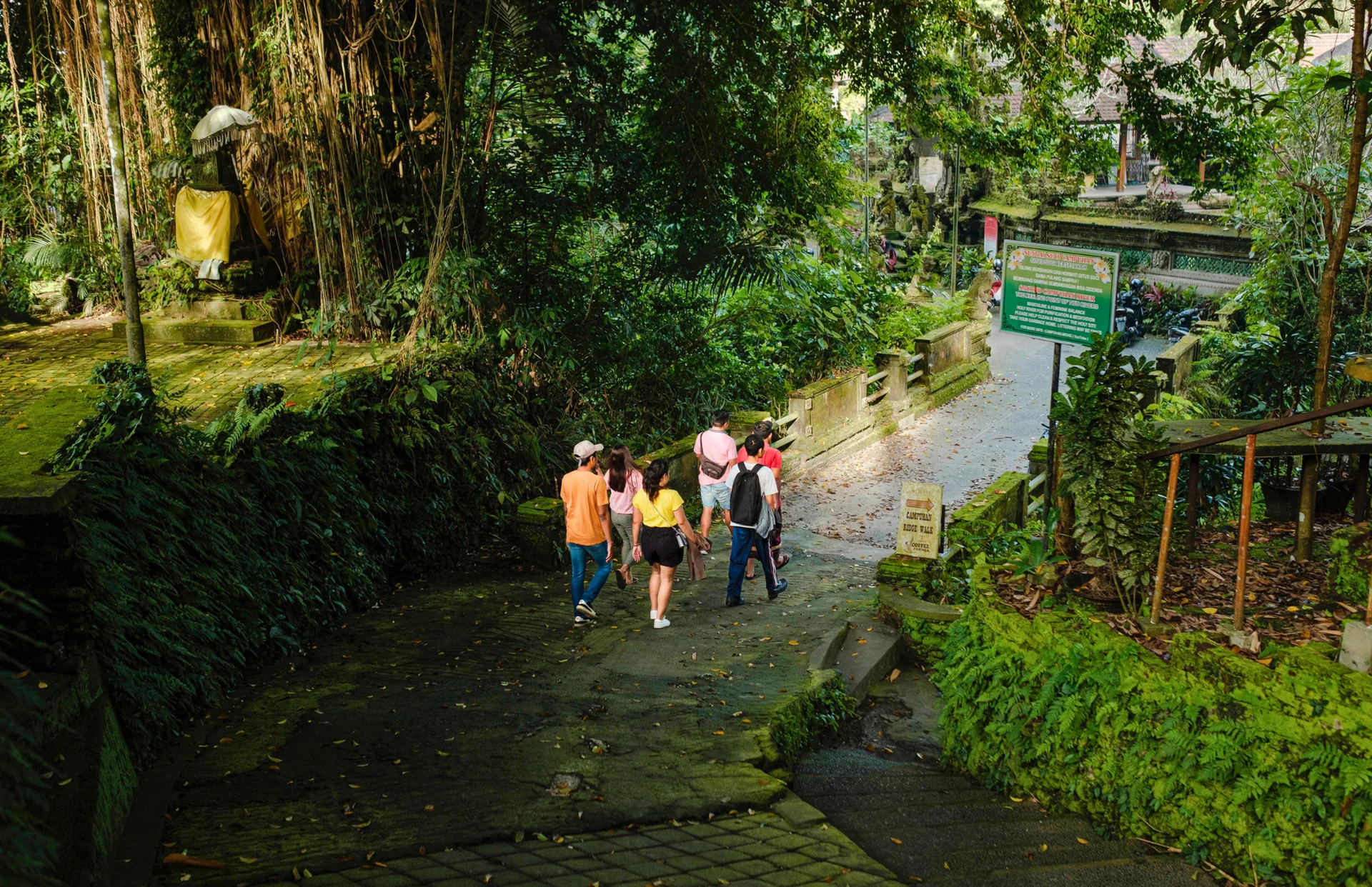 Ubud historievandringer
