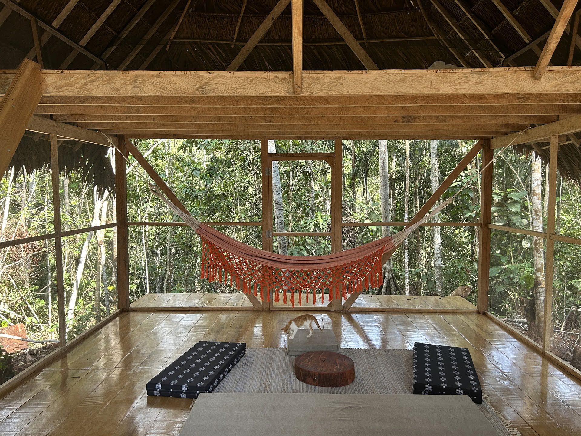 Åbent ayahuasca-retreat hos Psychonauta Tribe