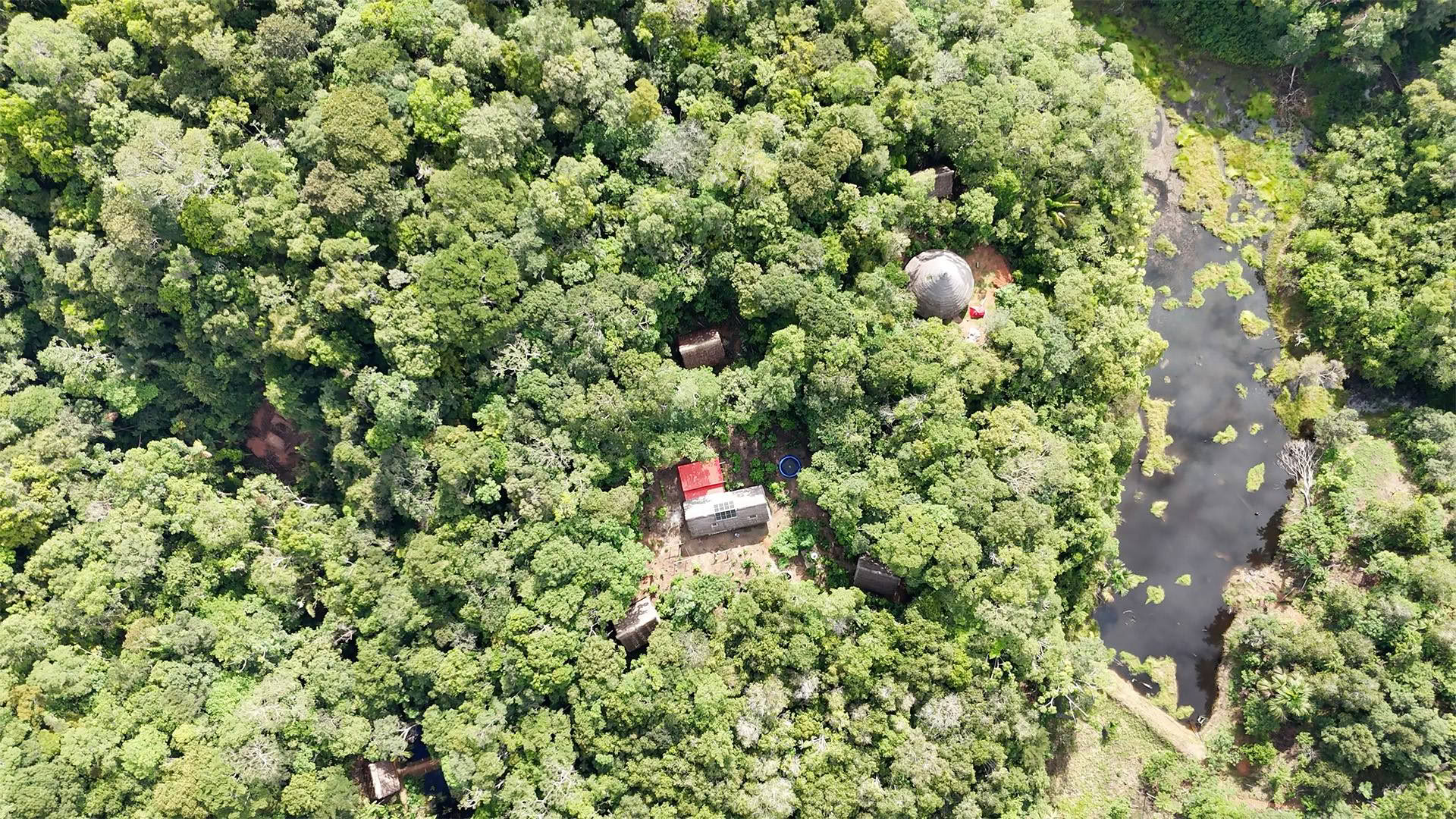 Åbent ayahuasca-retreat hos Psychonauta Tribe