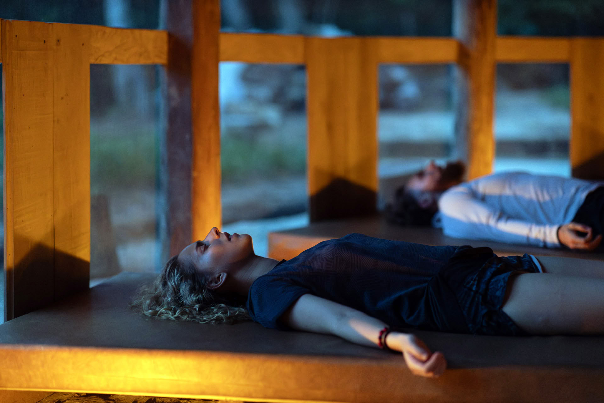 Åbent ayahuasca-retreat hos Psychonauta Tribe