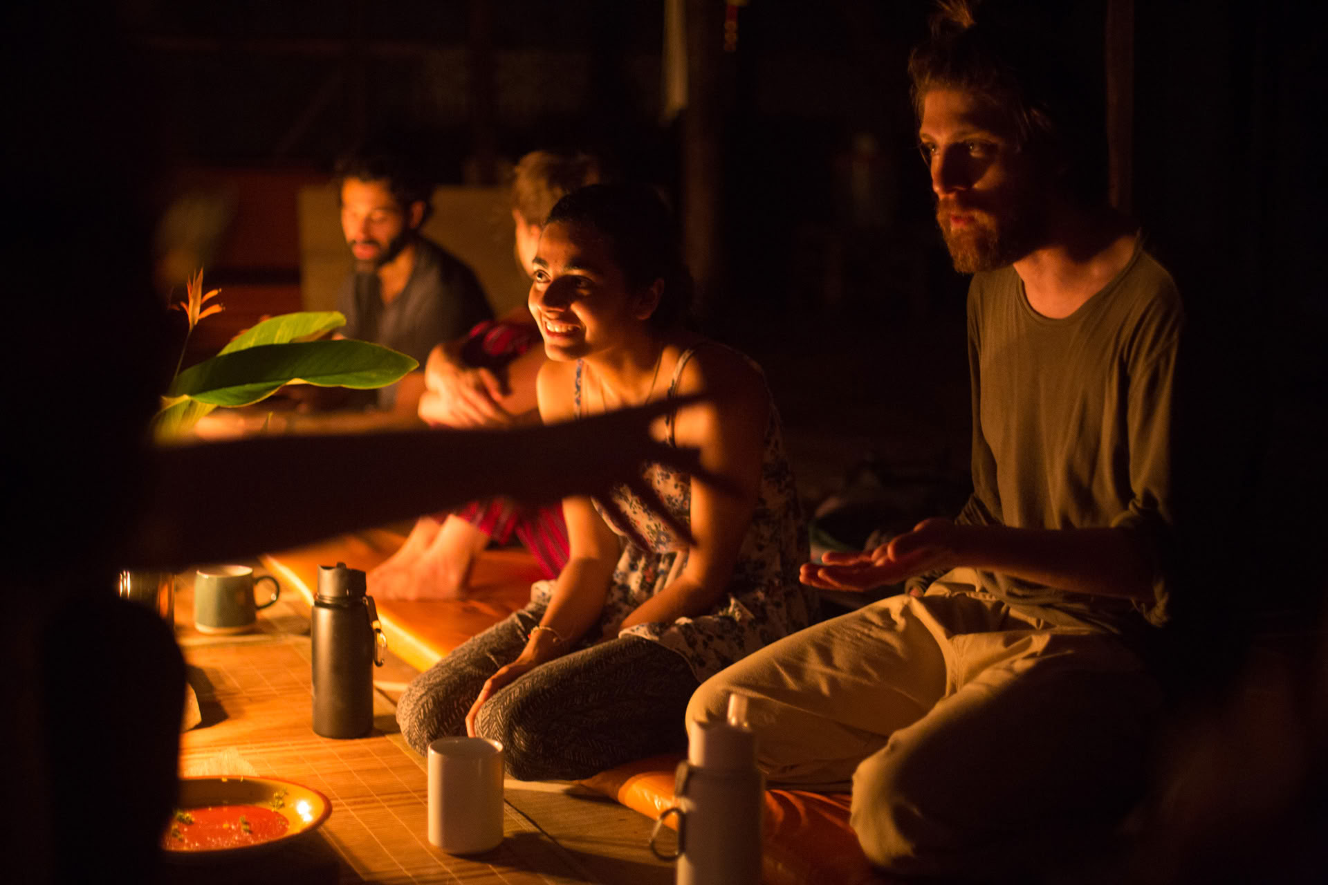Åbent Ayahuasca-retreat