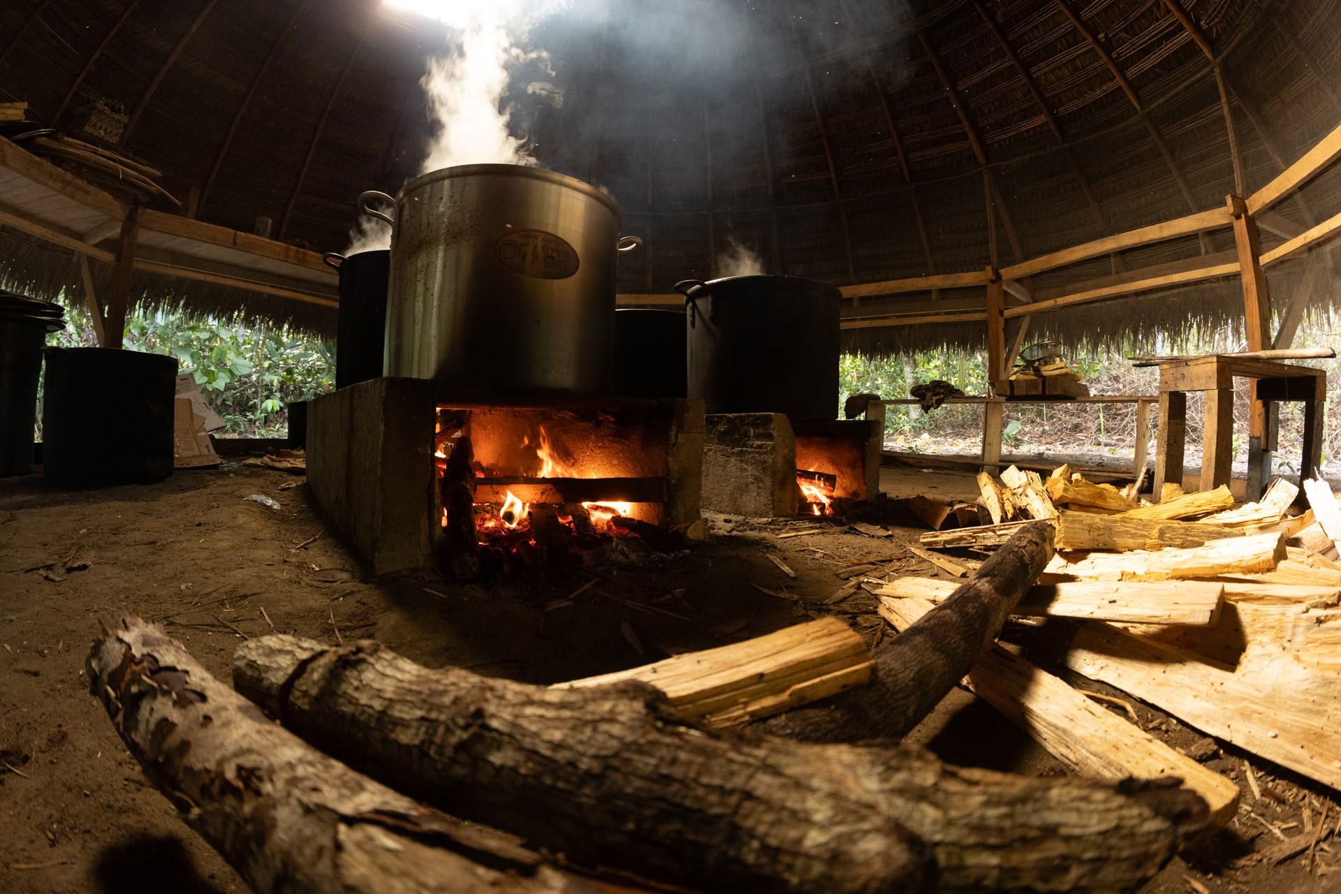 Åbent Ayahuasca-retreat