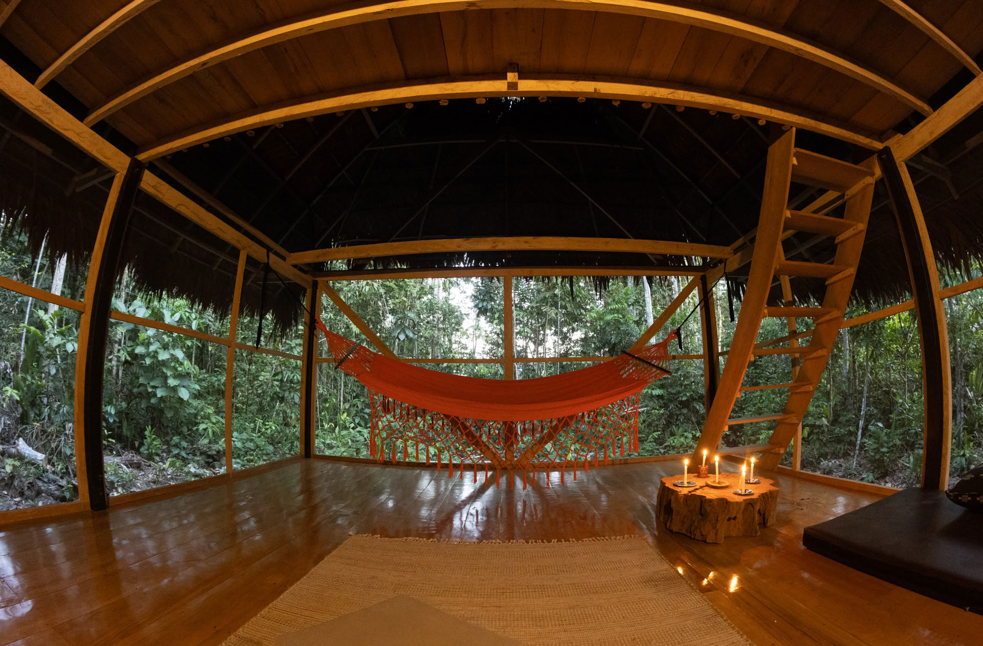 Åbent Ayahuasca-retreat