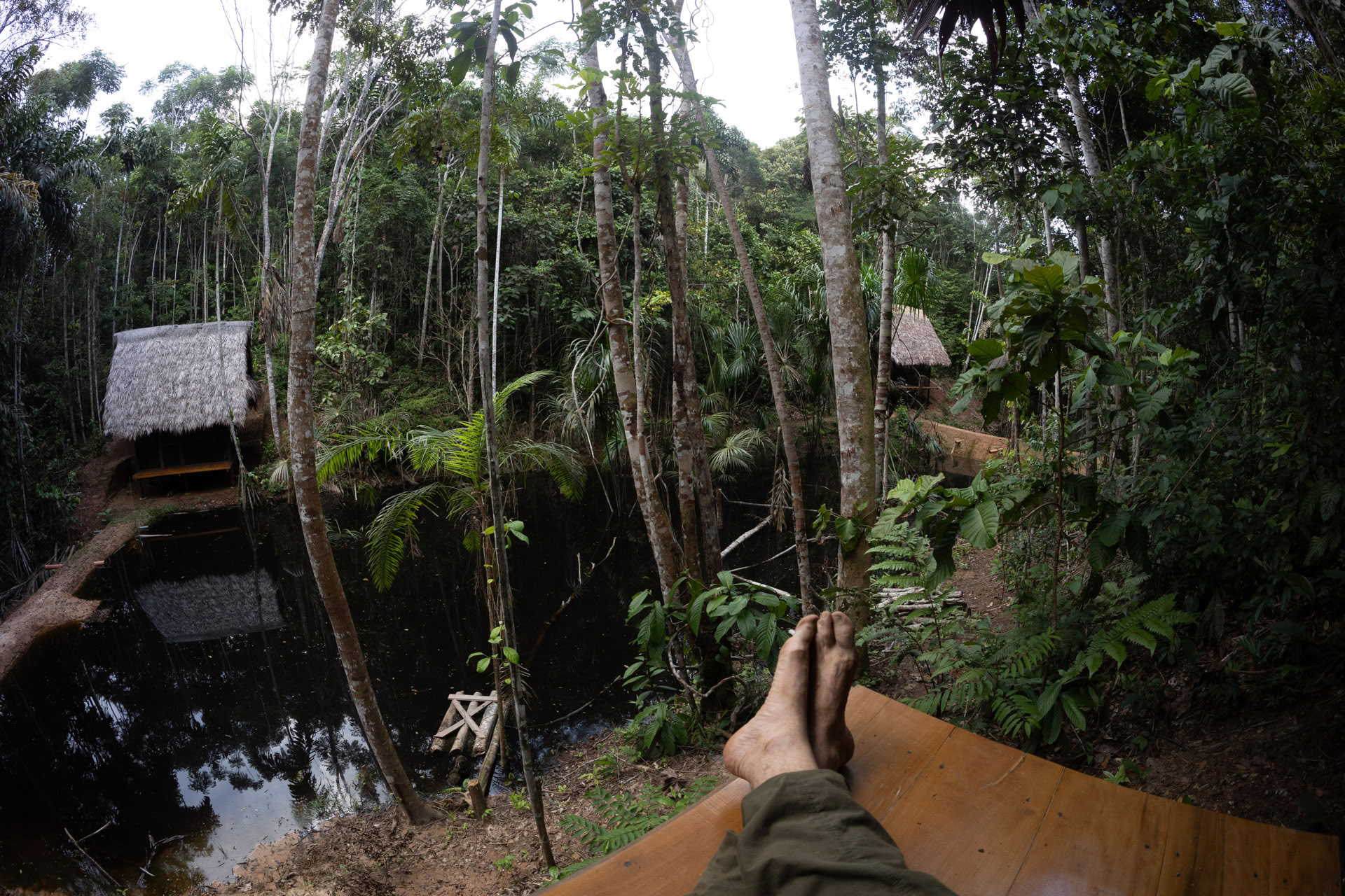 Åbent Ayahuasca-retreat
