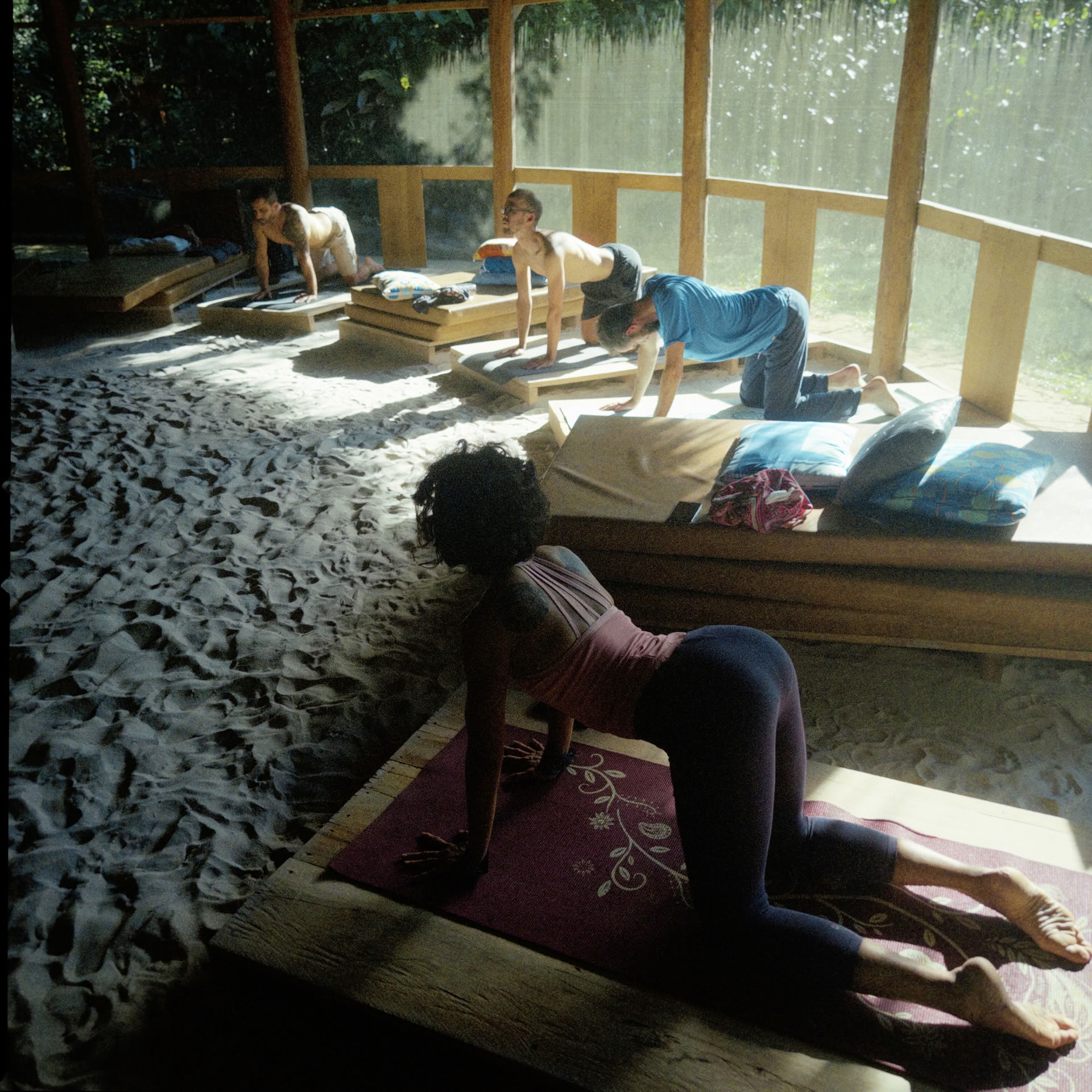 Åbent Ayahuasca-retreat