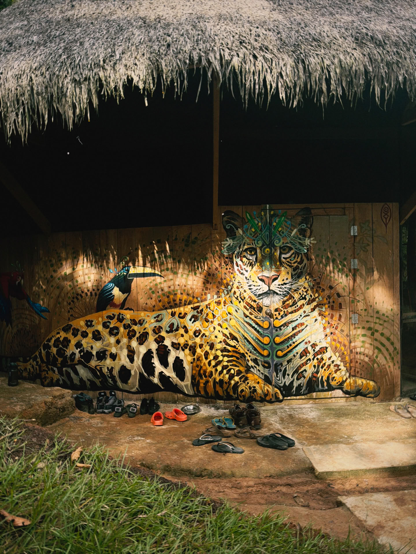Åbent Ayahuasca-retreat