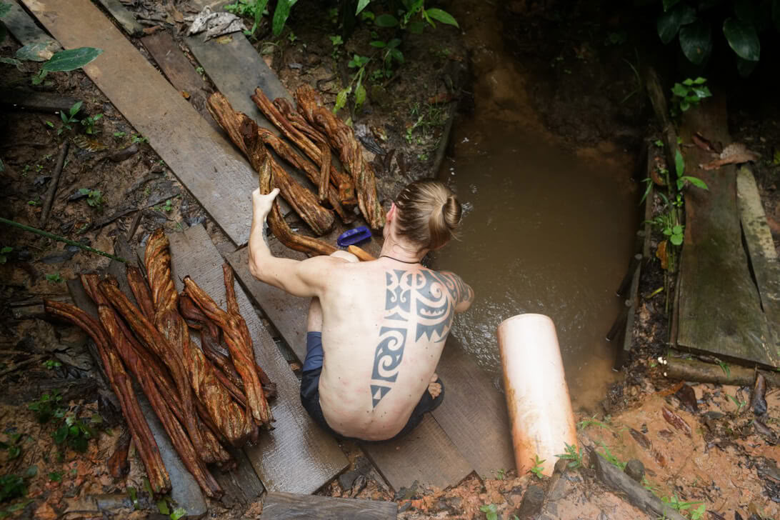 Ayahuasca-retreat og mesterplantedieta i Peru
