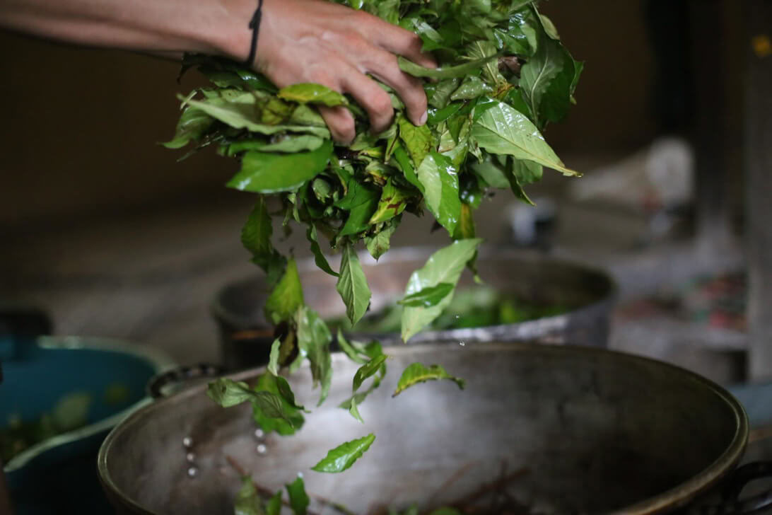Ayahuasca-retreat og mesterplantedieta i Peru
