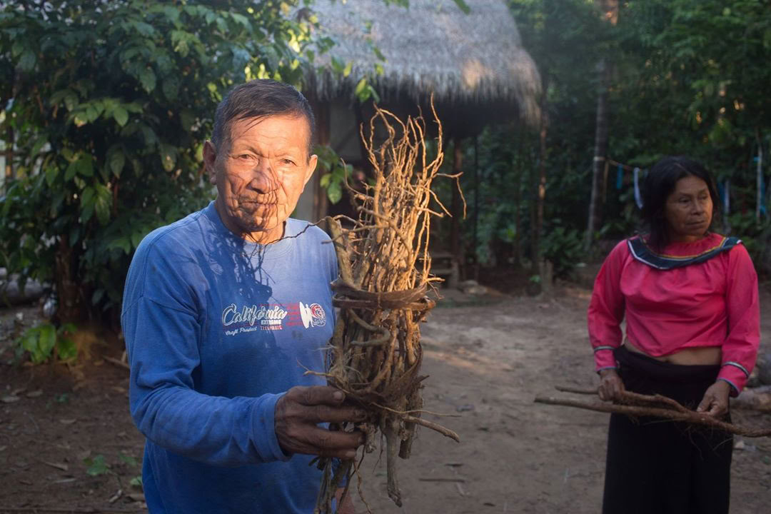 Ayahuasca-retreat og mesterplantedieta i Peru
