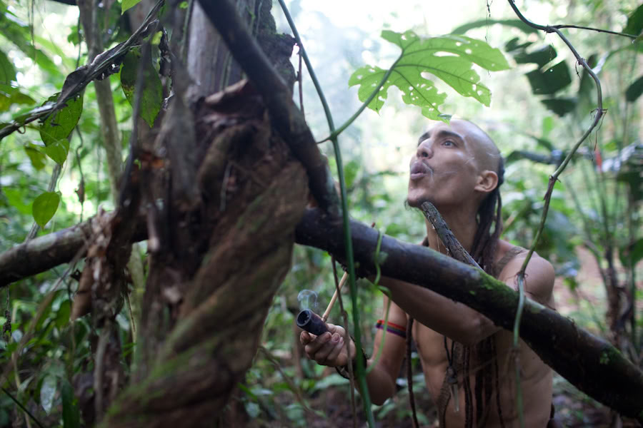 Ayahuasca-retreat og mesterplantedieta i Peru