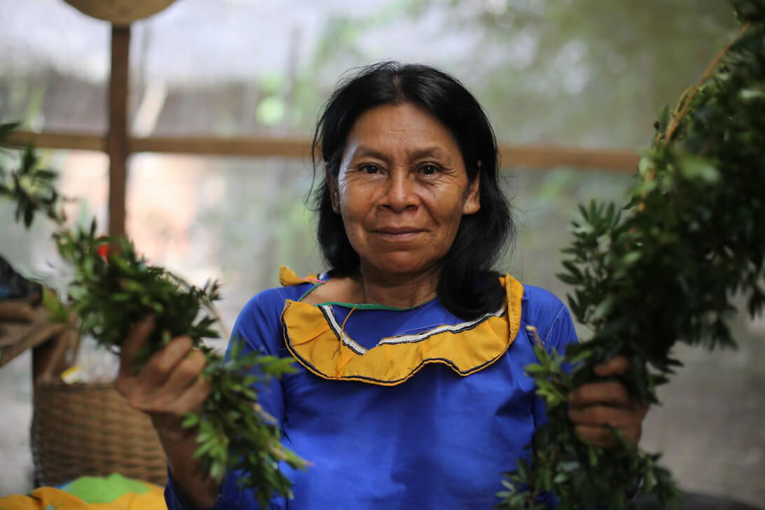 Ayahuasca-retreat og mesterplantedieta i Peru