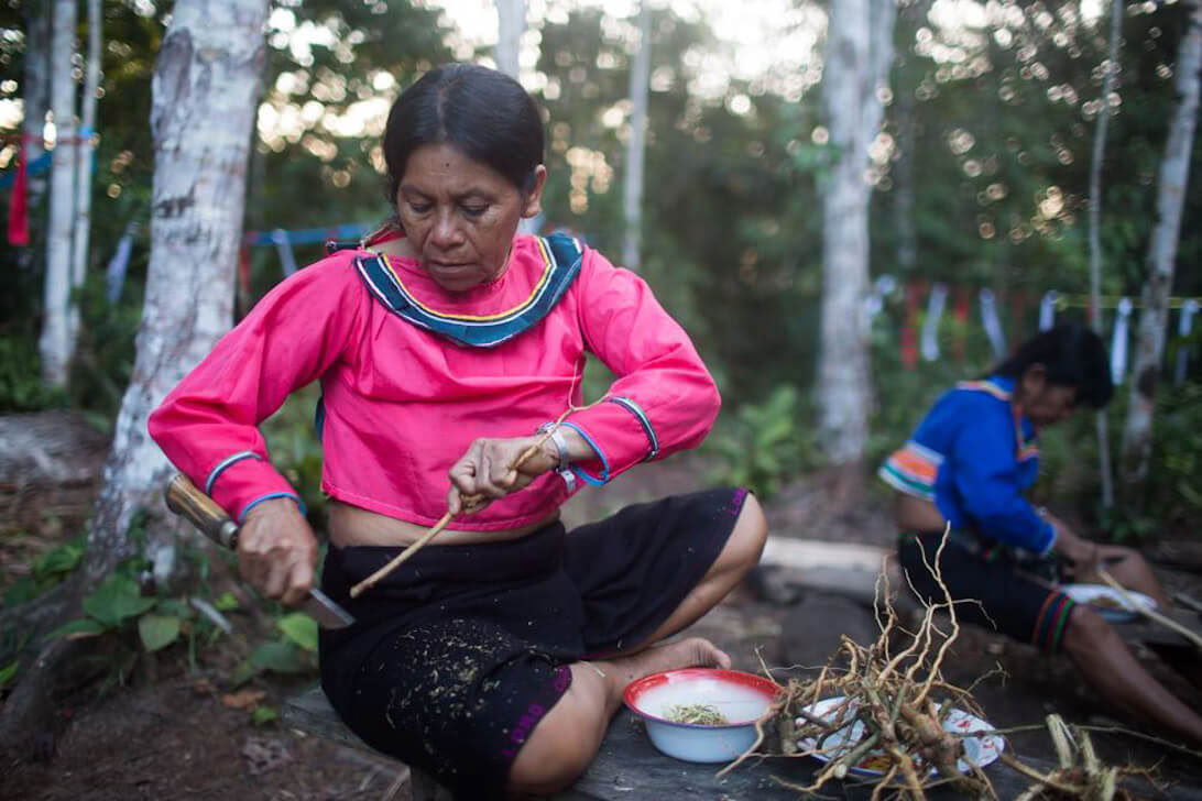 Ayahuasca-retreat og mesterplantedieta i Peru