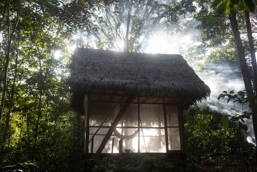 Ayahuasca-retreat og mesterplantedieta i Peru