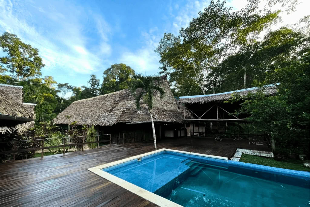 Amazon - Blue Morpho Lodge 3 ayahuasca & 1 San Pedro