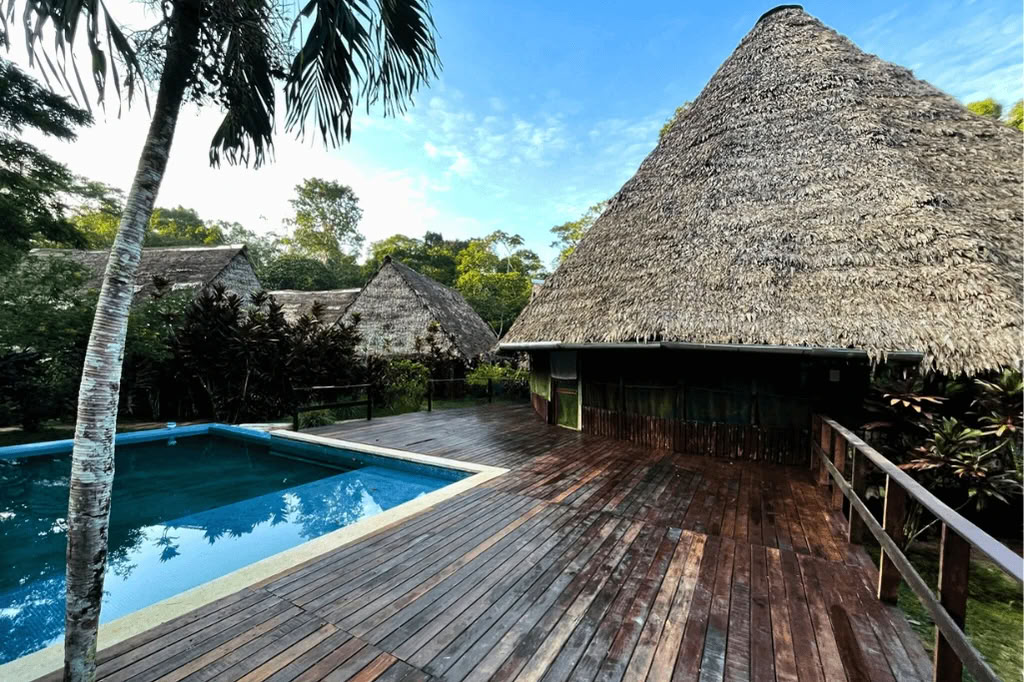 Amazon - Blue Morpho Lodge 3 ayahuasca & 1 San Pedro