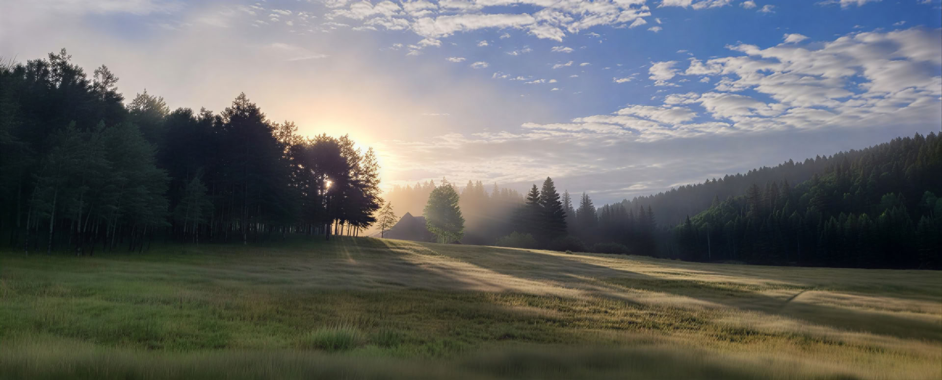Vågn op i det vilde (oktober): At udforske visdom og opvågning i naturen