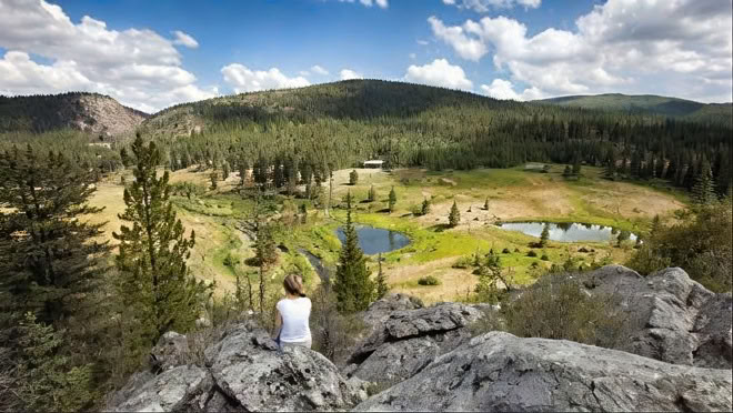 Meditation, natur og opvågning