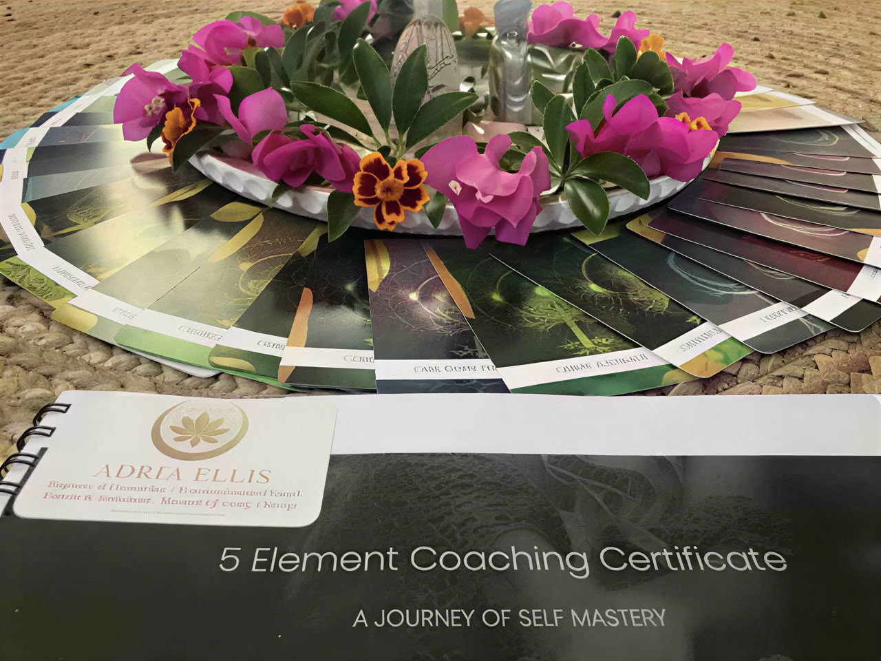 5 Elements Coaching-certifikat