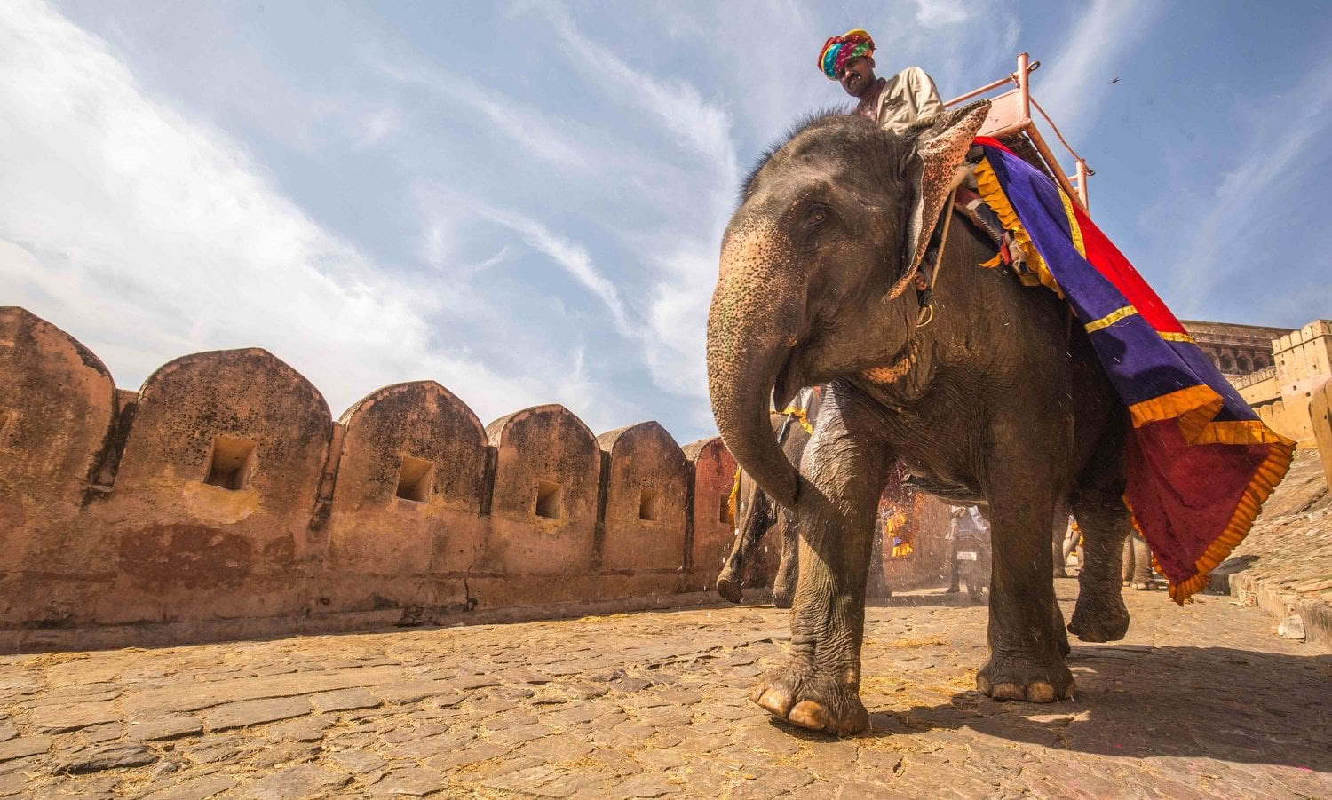 'Himalayas' ånd' tur + Holi-festival i Indien