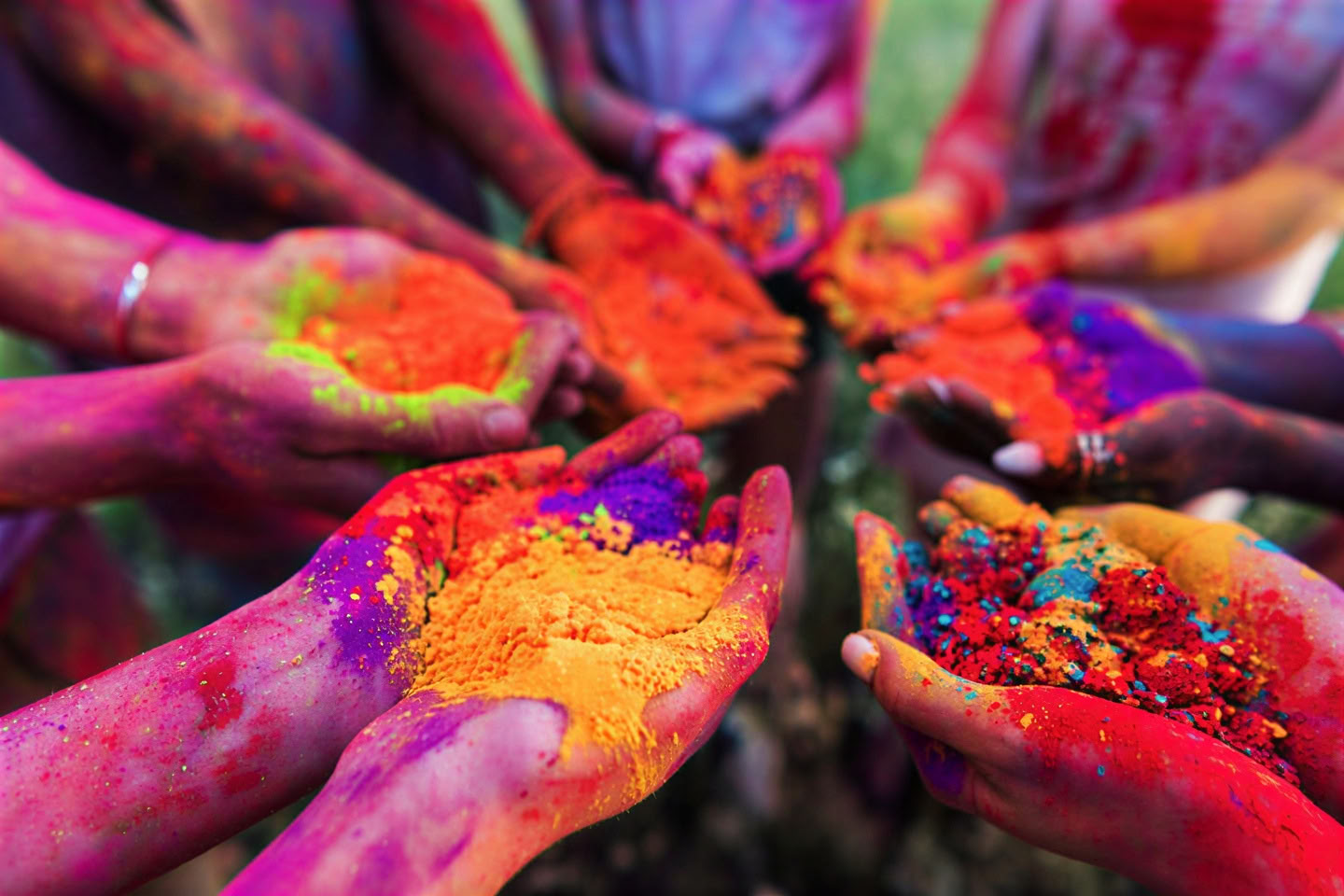 'Himalayas' ånd' tur + Holi-festival i Indien
