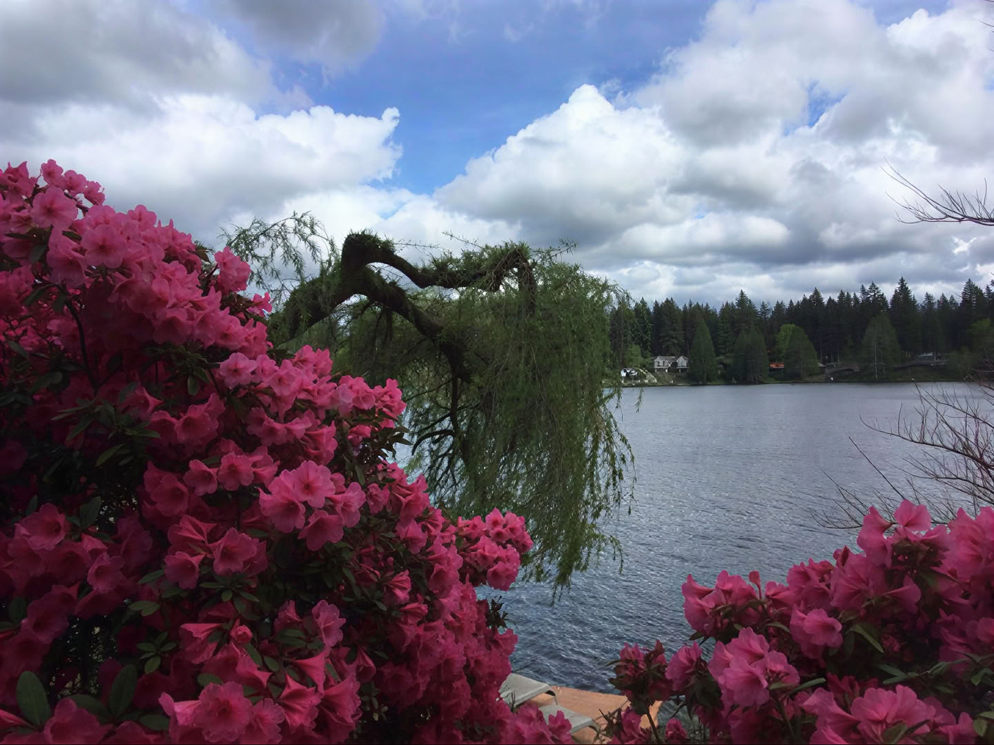 Cottage Lake Bed and Breakfast Spirituel Retreat