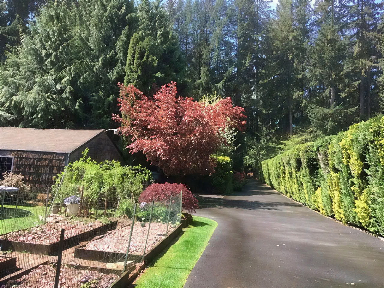Cottage Lake Bed and Breakfast Spirituel Retreat