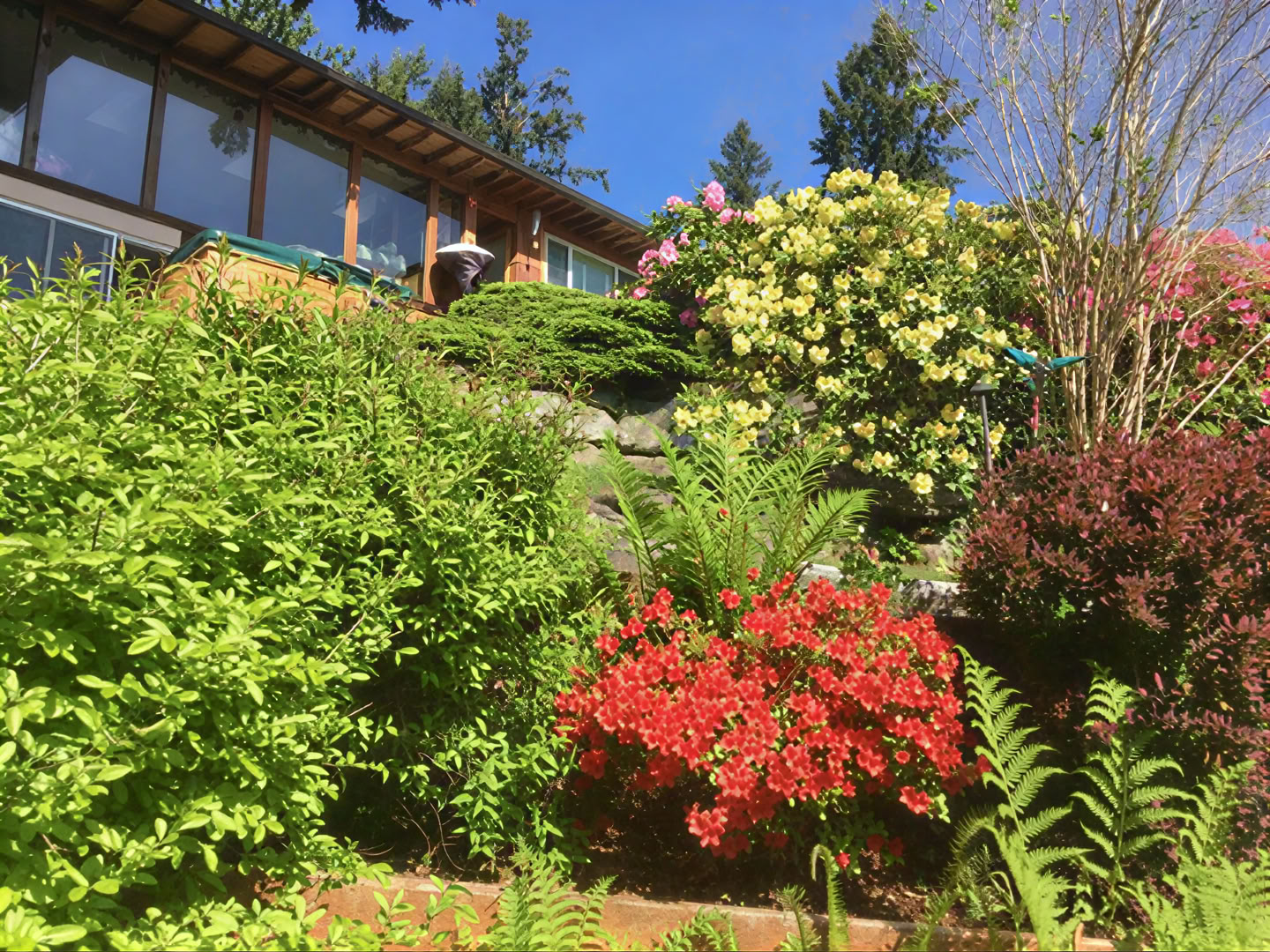 Cottage Lake Bed and Breakfast Spirituel Retreat