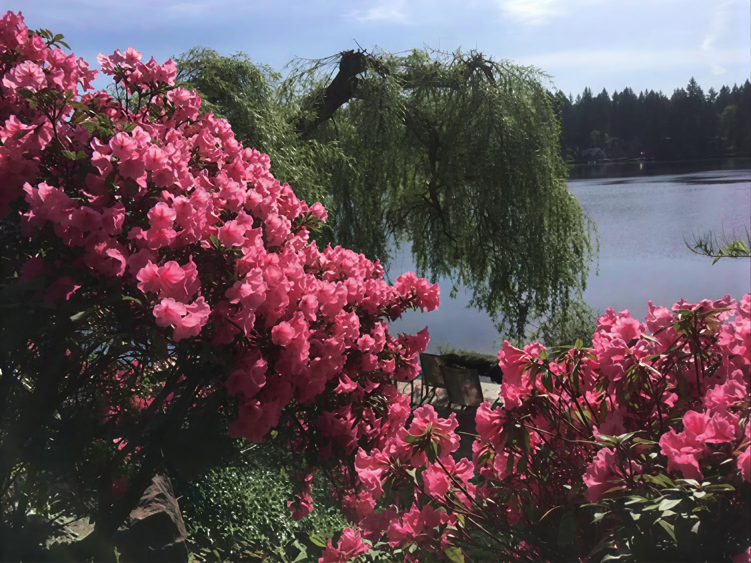 Cottage Lake Bed and Breakfast Spirituel Retreat
