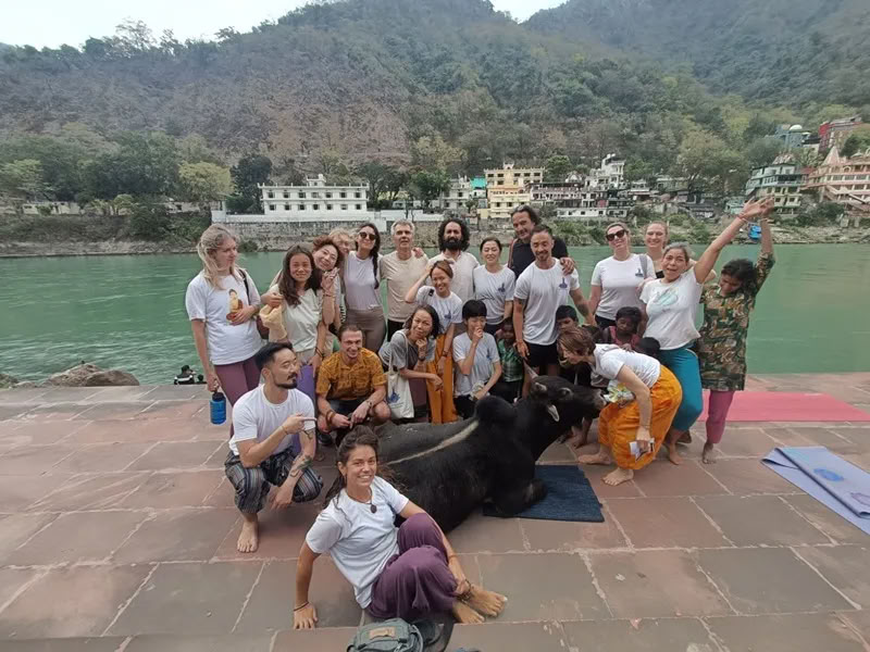 100-timers yogalæreruddannelse i Rishikesh, Indien