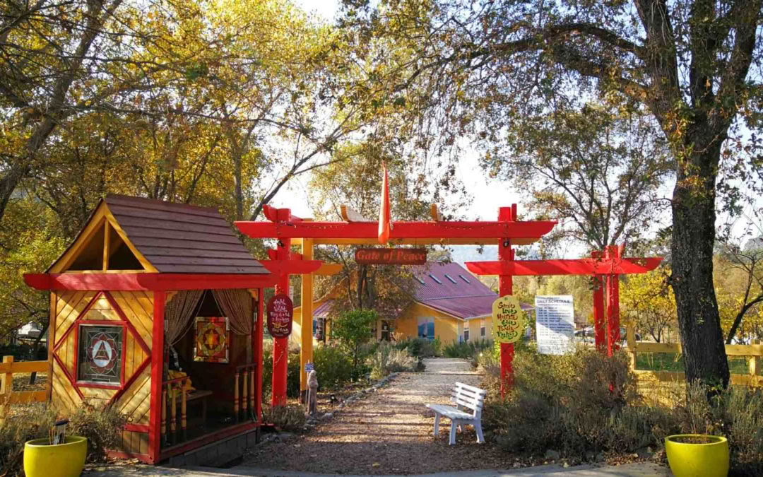 Ashram hellige tur – introduktion til Sivananda-yoga