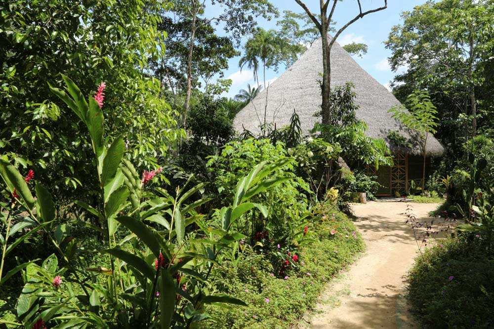 At leve i overensstemmelse: Ayahuasca-healingsretreat