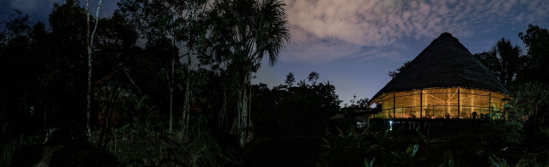 Ayahuasca-healingretreat + 5-dages integrationsretreat