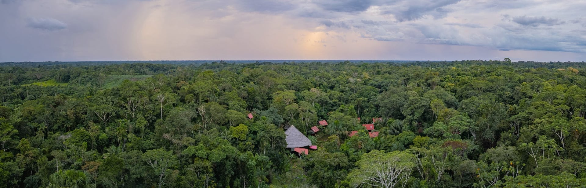 Ayahuasca-healingretreat + 5-dages integrationsretreat