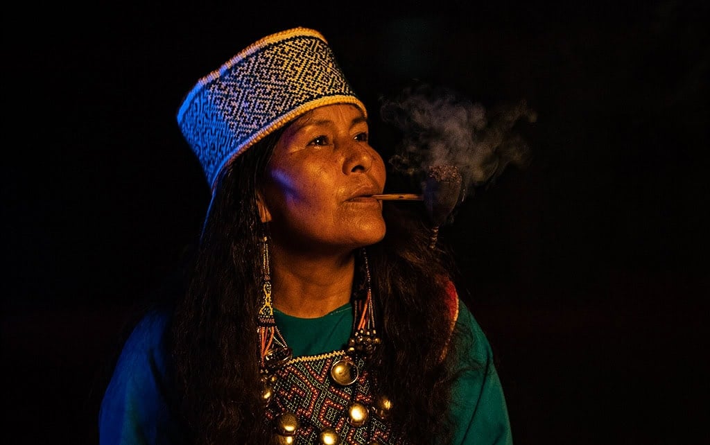 Ayahuasca-healingretreat + 5-dages integrationsretreat
