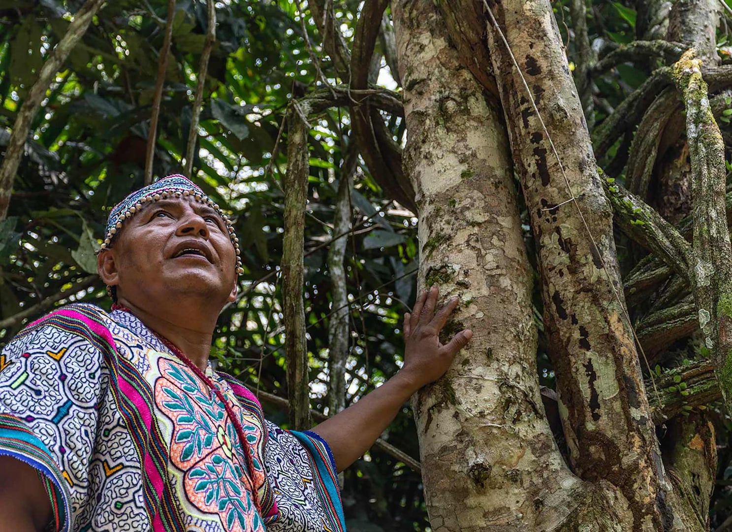 Ayahuasca-healingretreat + 5-dages integrationsretreat